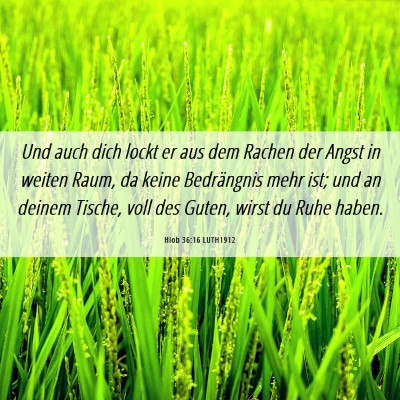 Picture 06 - Hiob 36:16 LUTH1912 - Und auch dich lockt er aus dem Rachen der Angst - Bible Verse Picture