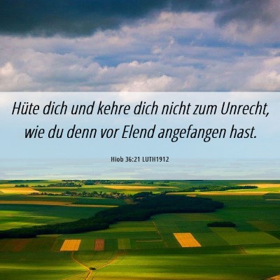 Picture 06 - Hiob 36:21 LUTH1912 - Hüte dich und kehre dich nicht zum Unrecht, wie - Bible Verse Picture