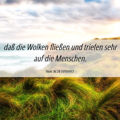 Picture 06 - Hiob 36:28 LUTH1912 - daß die Wolken fließen und triefen sehr auf die - Bible Verse Picture