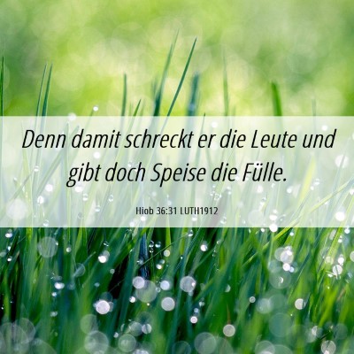 Picture 06 - Hiob 36:31 LUTH1912 - Denn damit schreckt er die Leute und gibt doch - Bible Verse Picture