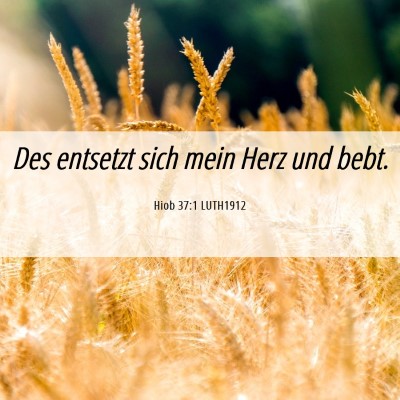 Picture 06 - Hiob 37:1 LUTH1912 - Des entsetzt sich mein Herz und - Bible Verse Picture