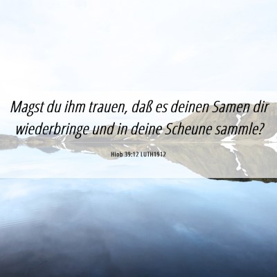 Picture 06 - Hiob 39:12 LUTH1912 - Magst du ihm trauen, daß es deinen Samen dir - Bible Verse Picture