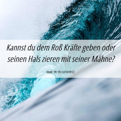 Picture 06 - Hiob 39:19 LUTH1912 - Kannst du dem Roß Kräfte geben oder seinen Hals - Bible Verse Picture