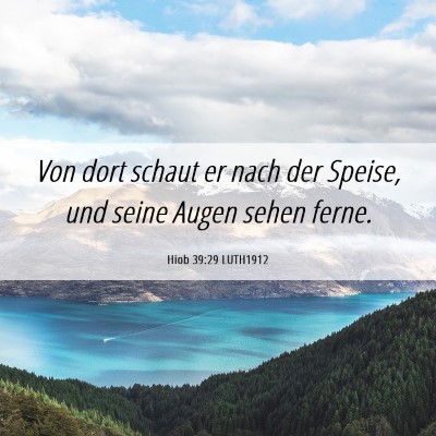 Picture 06 - Hiob 39:29 LUTH1912 - Von dort schaut er nach der Speise, und seine - Bible Verse Picture
