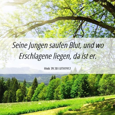 Picture 06 - Hiob 39:30 LUTH1912 - Seine Jungen saufen Blut, und wo Erschlagene - Bible Verse Picture