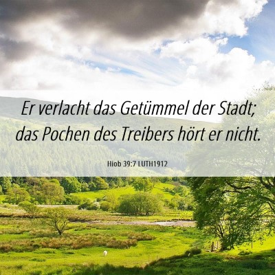 Picture 06 - Hiob 39:7 LUTH1912 - Er verlacht das Getümmel der Stadt; das Pochen - Bible Verse Picture