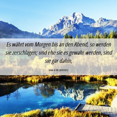 Picture 06 - Hiob 4:20 LUTH1912 - Es währt vom Morgen bis an den Abend, so werden - Bible Verse Picture