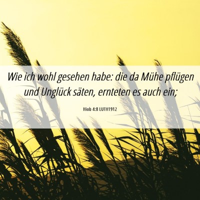 Picture 06 - Hiob 4:8 LUTH1912 - Wie ich wohl gesehen habe: die da Mühe pflügen - Bible Verse Picture