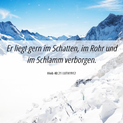Picture 06 - Hiob 40:21 LUTH1912 - Er liegt gern im Schatten, im Rohr und im Schlamm - Bible Verse Picture