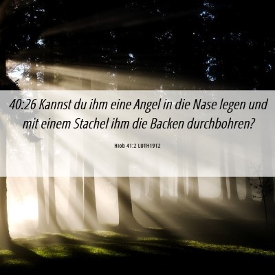 Picture 06 - Hiob 41:2 LUTH1912 - 40:26 Kannst du ihm eine Angel in die Nase legen - Bible Verse Picture