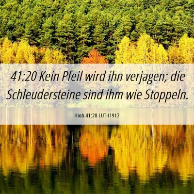 Picture 06 - Hiob 41:28 LUTH1912 - 41:20 Kein Pfeil wird ihn verjagen; die - Bible Verse Picture