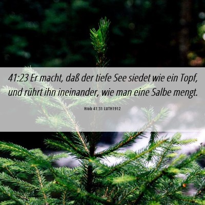 Picture 06 - Hiob 41:31 LUTH1912 - 41:23 Er macht, daß der tiefe See siedet wie ein - Bible Verse Picture