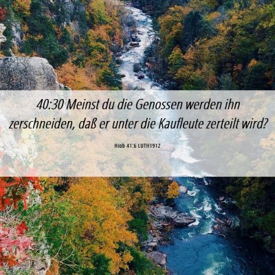 Picture 06 - Hiob 41:6 LUTH1912 - 40:30 Meinst du die Genossen werden ihn - Bible Verse Picture