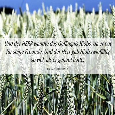 Picture 06 - Hiob 42:10 LUTH1912 - Und der HERR wandte das Gefängnis Hiobs, da er - Bible Verse Picture