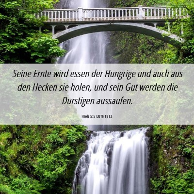 Picture 06 - Hiob 5:5 LUTH1912 - Seine Ernte wird essen der Hungrige und auch aus - Bible Verse Picture