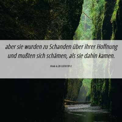Picture 06 - Hiob 6:20 LUTH1912 - aber sie wurden zu Schanden über ihrer Hoffnung - Bible Verse Picture