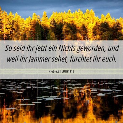Picture 06 - Hiob 6:21 LUTH1912 - So seid ihr jetzt ein Nichts geworden, und weil - Bible Verse Picture