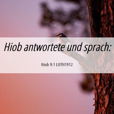 Picture 06 - Hiob 9:1 LUTH1912 - Hiob antwortete und - Bible Verse Picture