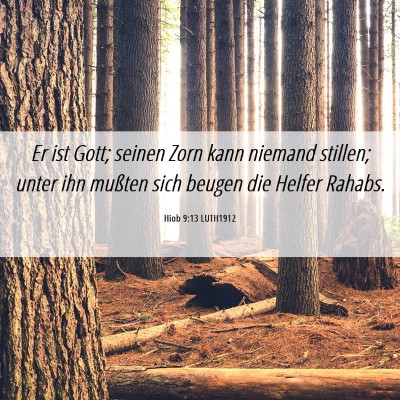 Picture 06 - Hiob 9:13 LUTH1912 - Er ist Gott; seinen Zorn kann niemand stillen; - Bible Verse Picture