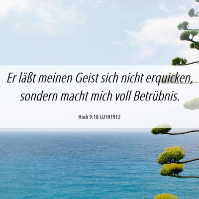 Picture 06 - Hiob 9:18 LUTH1912 - Er läßt meinen Geist sich nicht erquicken, - Bible Verse Picture