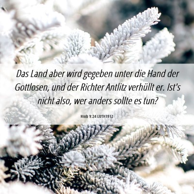 Picture 06 - Hiob 9:24 LUTH1912 - Das Land aber wird gegeben unter die Hand der - Bible Verse Picture