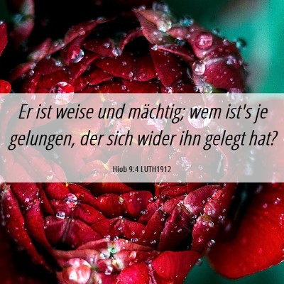 Picture 06 - Hiob 9:4 LUTH1912 - Er ist weise und mächtig; wem ist's je gelungen, - Bible Verse Picture