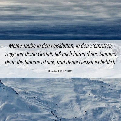Picture 06 - Hohelied 2:14 LUTH1912 - Meine Taube in den Felsklüften, in den - Bible Verse Picture