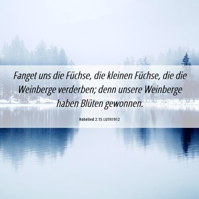 Picture 06 - Hohelied 2:15 LUTH1912 - Fanget uns die Füchse, die kleinen Füchse, die - Bible Verse Picture