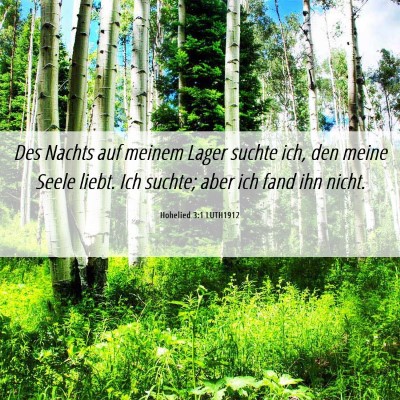 Picture 06 - Hohelied 3:1 LUTH1912 - Des Nachts auf meinem Lager suchte ich, den meine - Bible Verse Picture