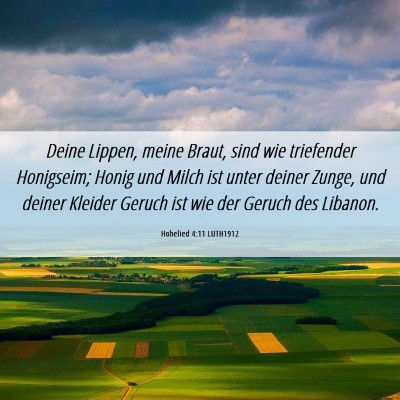 Picture 06 - Hohelied 4:11 LUTH1912 - Deine Lippen, meine Braut, sind wie triefender - Bible Verse Picture