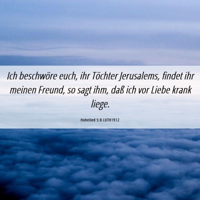 Picture 06 - Hohelied 5:8 LUTH1912 - Ich beschwöre euch, ihr Töchter Jerusalems, - Bible Verse Picture