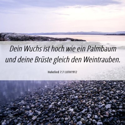 Picture 06 - Hohelied 7:7 LUTH1912 - Dein Wuchs ist hoch wie ein Palmbaum und deine - Bible Verse Picture