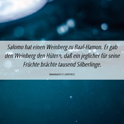 Picture 06 - Hohelied 8:11 LUTH1912 - Salomo hat einen Weinberg zu Baal-Hamon. Er gab - Bible Verse Picture