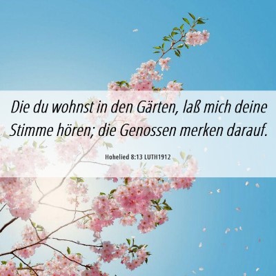 Picture 06 - Hohelied 8:13 LUTH1912 - Die du wohnst in den Gärten, laß mich deine - Bible Verse Picture