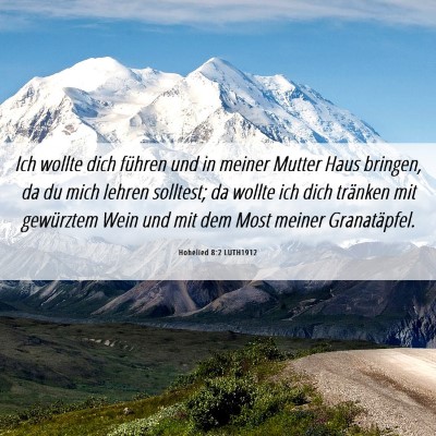 Picture 06 - Hohelied 8:2 LUTH1912 - Ich wollte dich führen und in meiner Mutter Haus - Bible Verse Picture