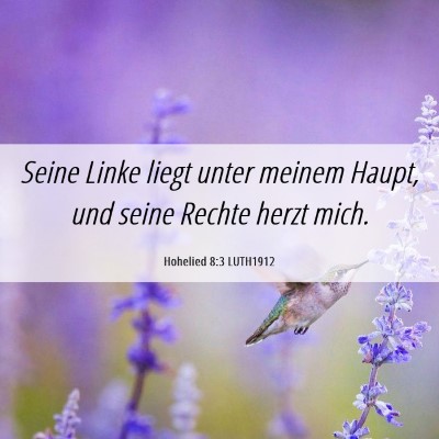 Picture 06 - Hohelied 8:3 LUTH1912 - Seine Linke liegt unter meinem Haupt, und seine - Bible Verse Picture