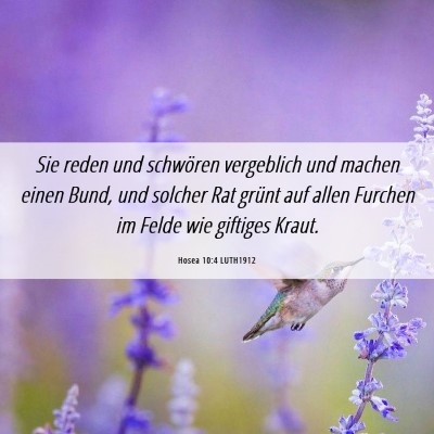 Picture 06 - Hosea 10:4 LUTH1912 - Sie reden und schwören vergeblich und machen - Bible Verse Picture