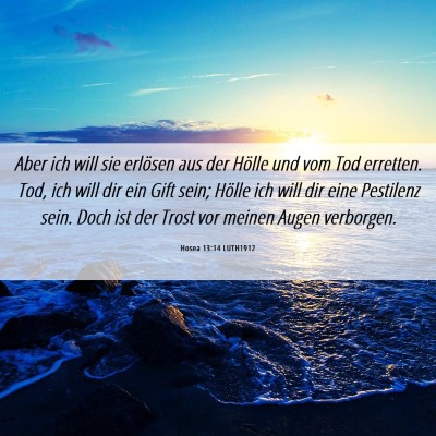 Picture 06 - Hosea 13:14 LUTH1912 - Aber ich will sie erlösen aus der Hölle und vom - Bible Verse Picture