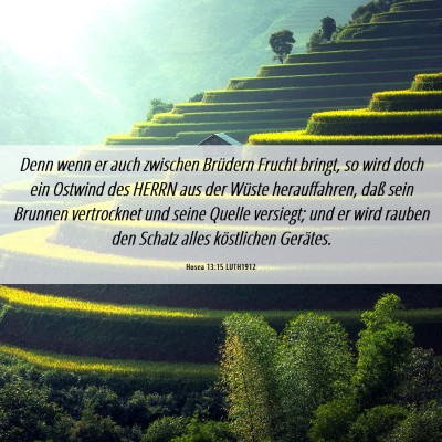 Picture 06 - Hosea 13:15 LUTH1912 - Denn wenn er auch zwischen Brüdern Frucht - Bible Verse Picture
