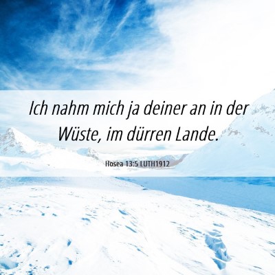 Picture 06 - Hosea 13:5 LUTH1912 - Ich nahm mich ja deiner an in der Wüste, im - Bible Verse Picture