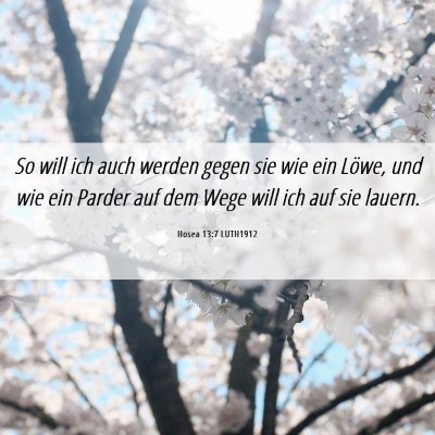 Picture 06 - Hosea 13:7 LUTH1912 - So will ich auch werden gegen sie wie ein Löwe, - Bible Verse Picture