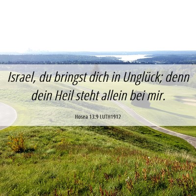 Picture 06 - Hosea 13:9 LUTH1912 - Israel, du bringst dich in Unglück; denn dein - Bible Verse Picture