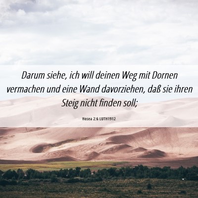 Picture 06 - Hosea 2:6 LUTH1912 - Darum siehe, ich will deinen Weg mit Dornen - Bible Verse Picture