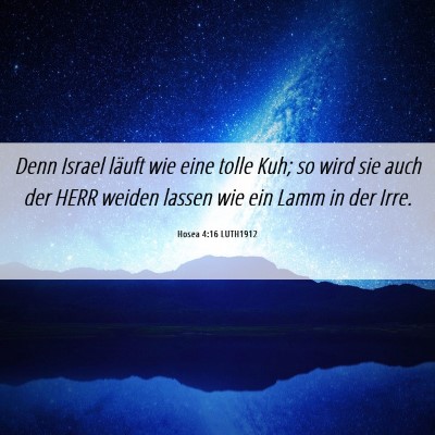 Picture 06 - Hosea 4:16 LUTH1912 - Denn Israel läuft wie eine tolle Kuh; so wird - Bible Verse Picture