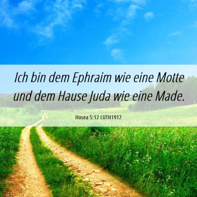 Picture 06 - Hosea 5:12 LUTH1912 - Ich bin dem Ephraim wie eine Motte und dem Hause - Bible Verse Picture