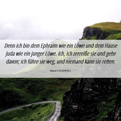 Picture 06 - Hosea 5:14 LUTH1912 - Denn ich bin dem Ephraim wie ein Löwe und dem - Bible Verse Picture