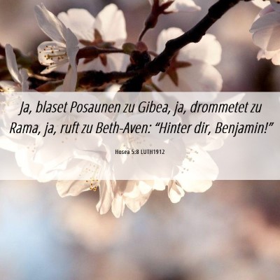 Picture 06 - Hosea 5:8 LUTH1912 - Ja, blaset Posaunen zu Gibea, ja, drommetet zu - Bible Verse Picture
