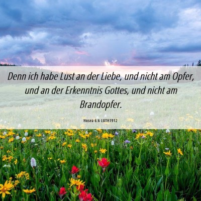 Picture 06 - Hosea 6:6 LUTH1912 - Denn ich habe Lust an der Liebe, und nicht am - Bible Verse Picture