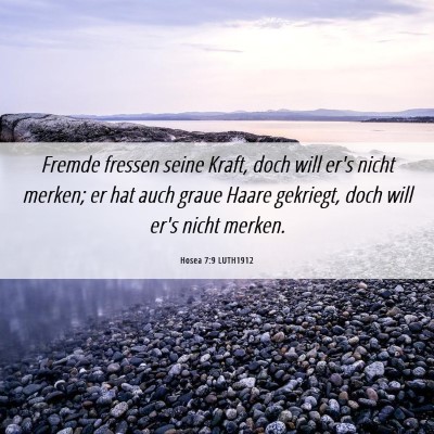 Picture 06 - Hosea 7:9 LUTH1912 - Fremde fressen seine Kraft, doch will er's nicht - Bible Verse Picture
