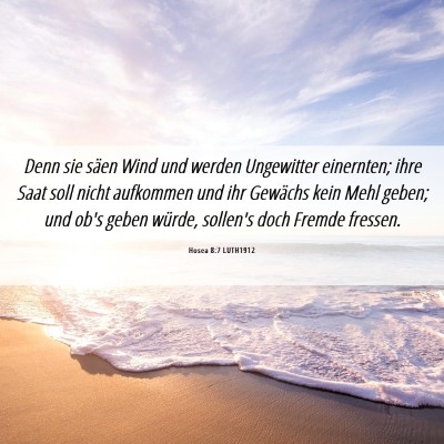 Picture 06 - Hosea 8:7 LUTH1912 - Denn sie säen Wind und werden Ungewitter - Bible Verse Picture